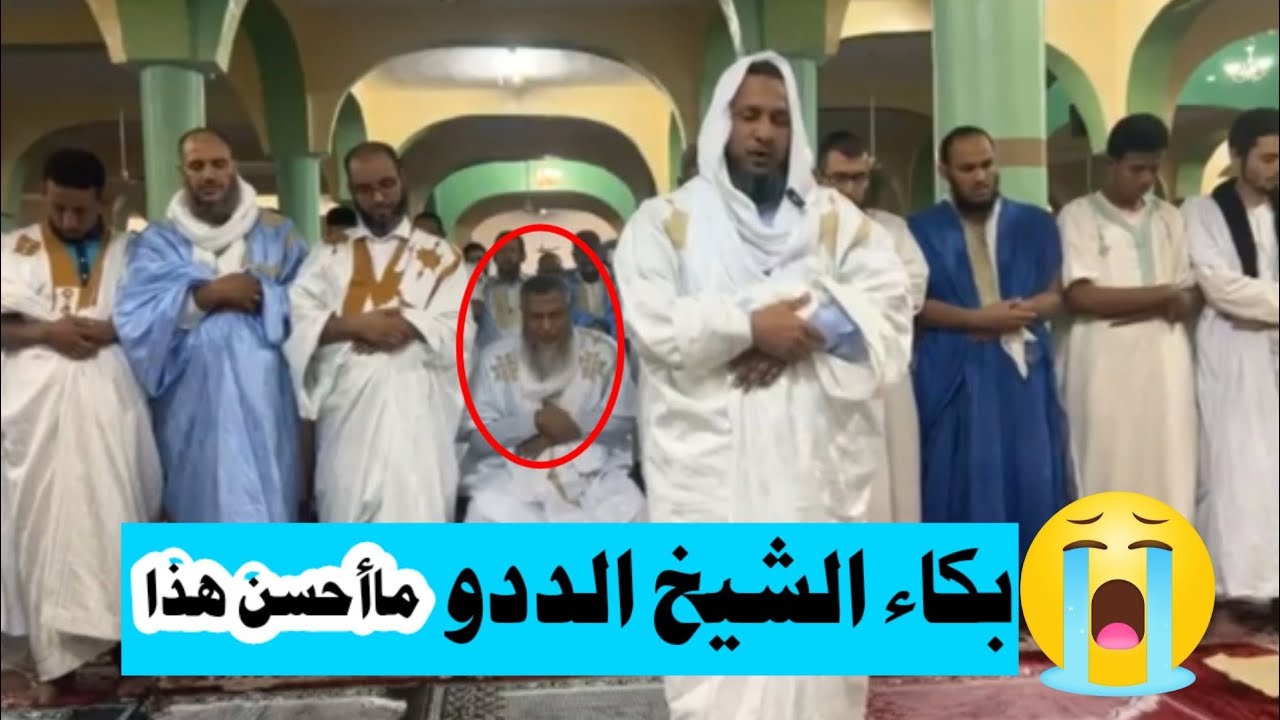 أجمل وأحسن التلاوات في العالم بكاء الشيخ الددو #الفتاوى_من_اشهر_العلماء  #تلاه_خاشعة #بكاء