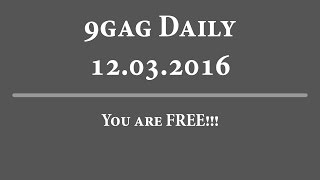 9Gag Daily - 12-03-2016 | You are FREE!!!