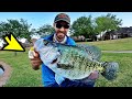 MONSTER CRAPPIE caught using the STRANGEST LURE!! (UNREAL)