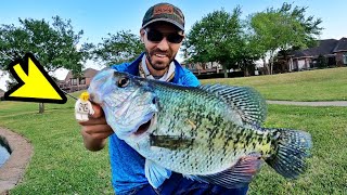 MONSTER CRAPPIE caught using the STRANGEST LURE!! (UNREAL)