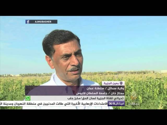 عُماني ينجح في زراعة الأرز " البسمتي " لأول مرة في التاريخ