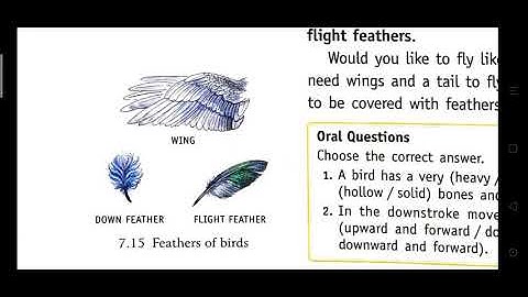 BIRDS:FOOD AND MORE|Part 2|Chapter 7|Living Science|Class 3|CBSE