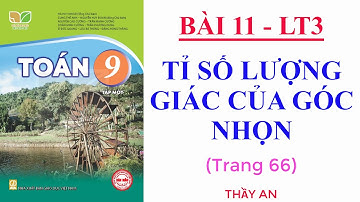 Bài 11🌹TỈ SỐ LƯỢNG GIÁC CỦA GÓC NHỌN🌹(Lý thuyết 3)🌹TOÁN LỚP 9🌹Kết Nối Tri Thức