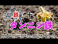 ぼかし肥料の作り方　タンニン鉄の作り方
