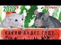 Белая Металлическая Крыса  Символ 2020