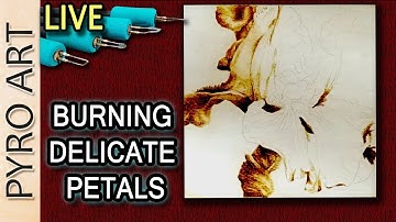 Pyrography: Live Wood Burning Soft Petals. Contrast is more than just Value???