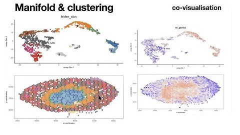 Spatially Resolved Transcriptomics on T-Bioinfo Server