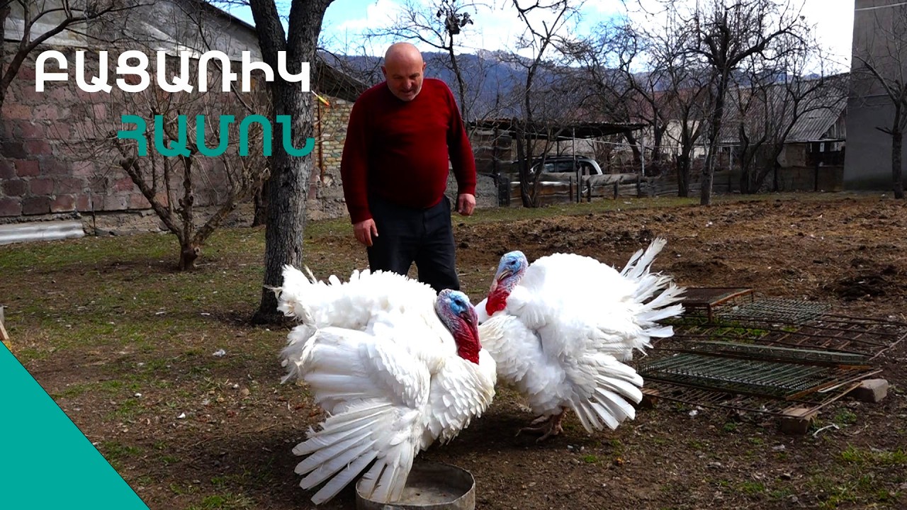 «Ականջը կտրեցի, ասի՝ գցի ջեբդ».  Օձունի ամենաաչքաբաց վարսավիրը