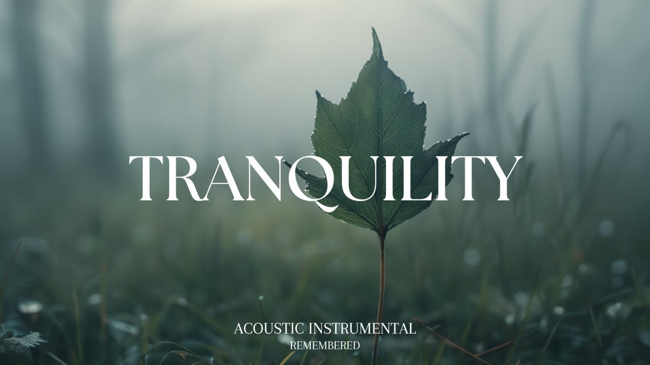 Peaceful Relaxing Guitar Music | Work Study Focus | 1 Hour