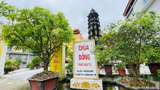 Tinh Hoa NIKAYA - Tội Ác Của Tham Sân Si - Bản Ngã 2