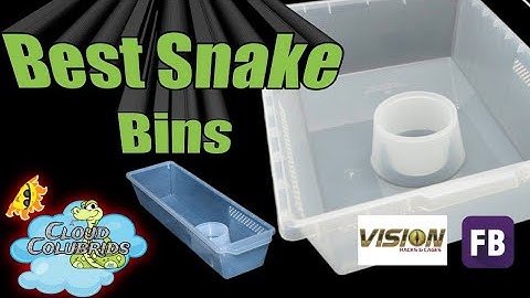 My favorite snake bins 2021