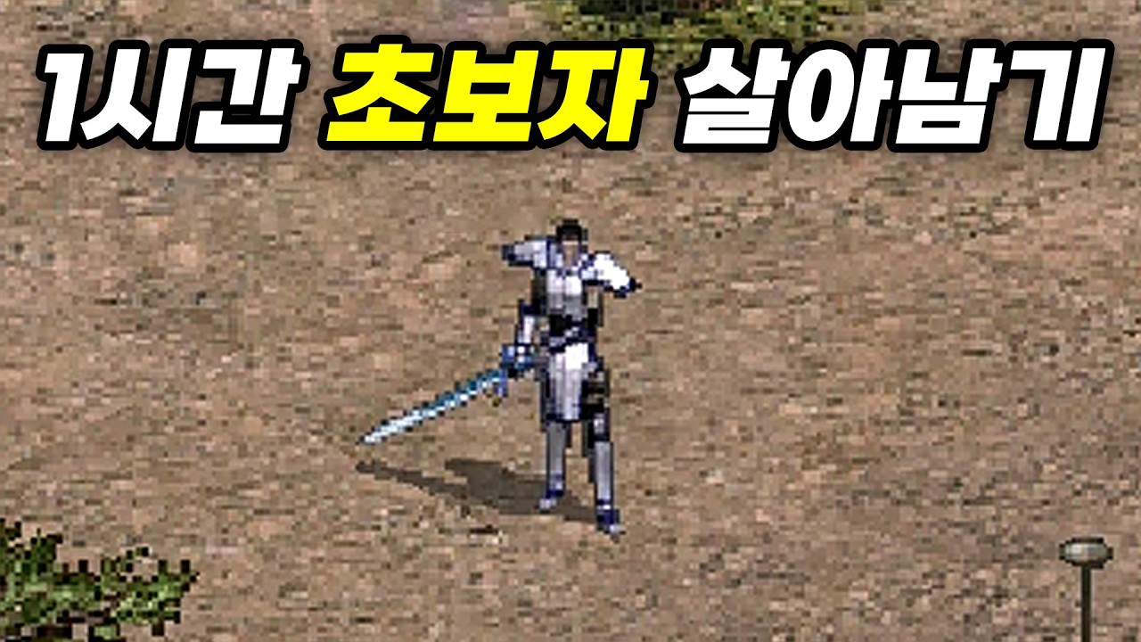 지금 리니지 클래식을 시작하면 생기는 일