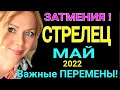 СТРЕЛЕЦ ЗАТМЕНИЯ- МАЙ 2022 Солнечное Затмение/СТРЕЛЕЦ ГОРОСКОП на МАЙ 2022/ Лунное Затмение /Olga