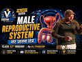 पुरुष प्रजनन तंत्र 🔥 | Male Reproductive System in Hindi | #reproductivehealth #ssc #science #gs