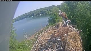 Trout delivery and feeding 20210705 092244 20210705 095849