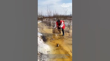 Fishing for beginners: a simple guide to catching fish