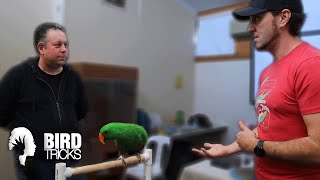 The Emotional Intelligence of Eclectus Parrots