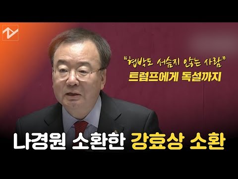 <strong>나경원</strong> ‘자녀의혹’ 소환한 강효상, “협박도 서슴지 않는 <strong>사람</strong>” 트럼프에게 독설까지