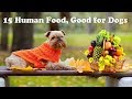 15 human foods good for Dogs