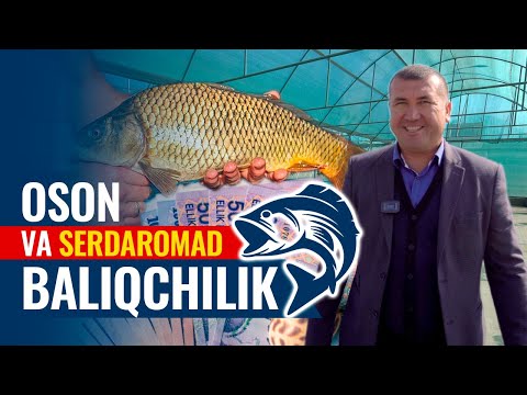 Video: Baliqchilikning barqaror hosildorligi qanday?