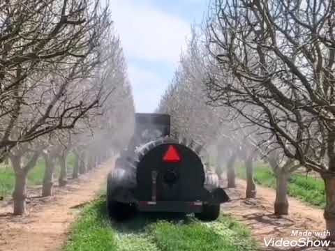 amerikan fistiği kiş ilaci California#Almond #Mechanical #Planting #Developing #Orchard #pistachio