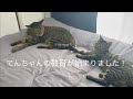 てんちゃんがふくちゃんへの教育を始めました!