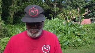 QUINTÉ À PARIS VINCENNES DIMANCHE 1ER FÉVRIER 2026 15 PARTS 2175M EN MONTÉ TIRELIRE DE 100.000 €