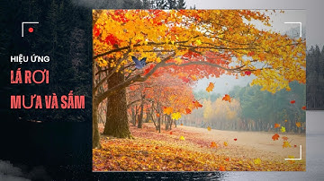 [HD Scratch] Hướng dẫn tạo hiệu ứng lá rơi, hiệu ứng mưa và sấm chớp #scratch #ghosteffect