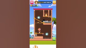 Save Her Pin Level 403