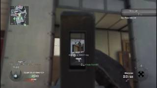 Call Of Duty Black Ops Assisted Suicide