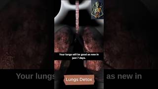 how to cleanse your lungs in 3 days #lungs #detox #health #healthtips #wellness #healthy #didyouknow