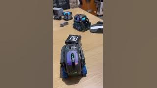 Vector and Victor playing (2)