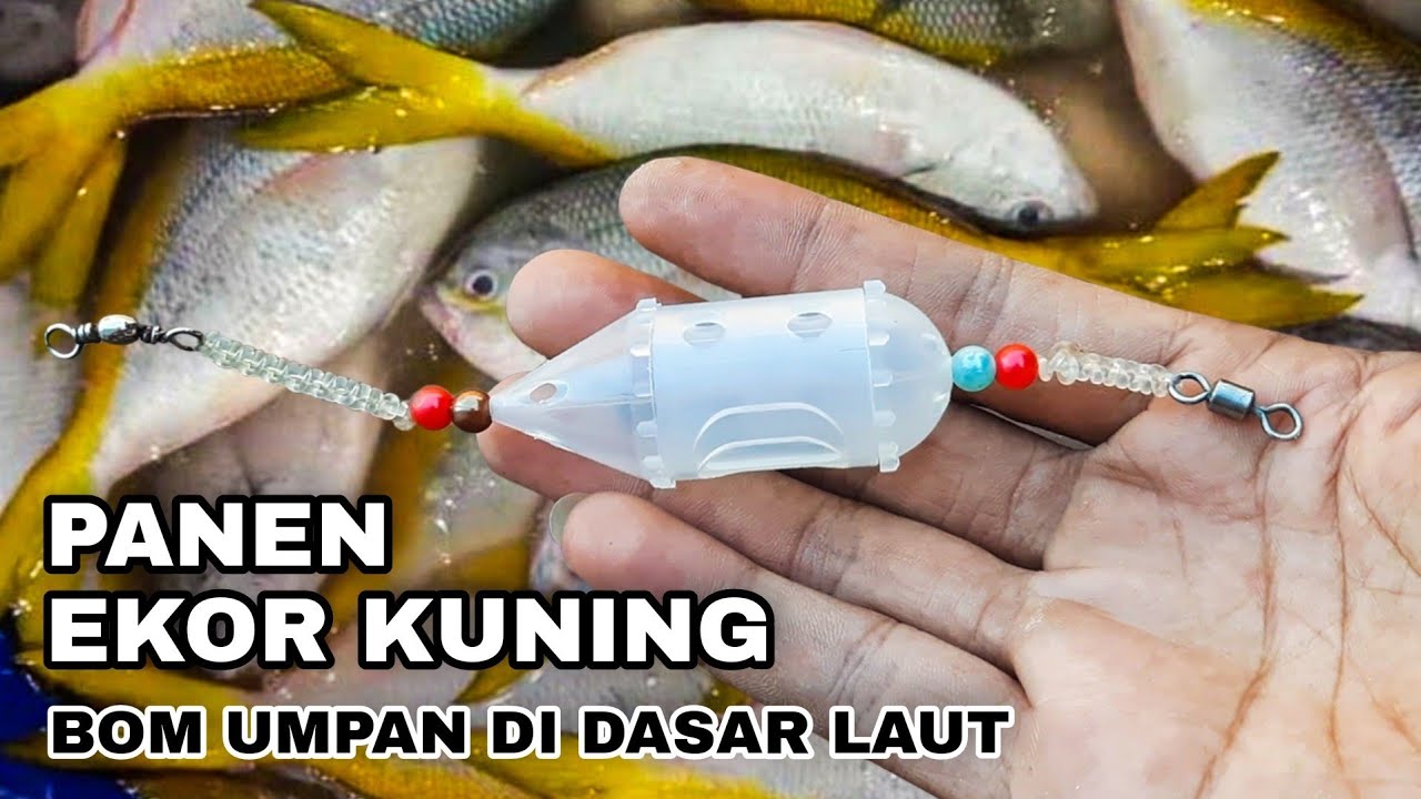 image.title Teknik Jitu Mancing Ikan Laut Dengan Umpan Buatan