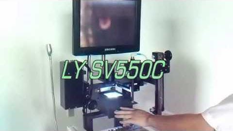 LY SV550C STYLE,LY SV550C BGA REWORK STATION ALIGNMENT SYSTEM LIVE SHOW1]DOCTORMOBILE