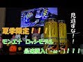 [ついに日本上陸！]モンスターエナジー　ロッシモデル最速購入(｀・ω・´)！