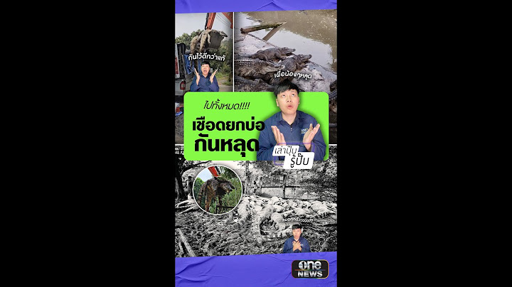 เจ็บปวดแต่จำใจ! เจ้าของเชือดจระเข้ยกฟาร์ม กันหลุดสู่ลำน้ำ | เล่าปุ๊บรู้ปั๊บ | สำนักข่าววันนิวส์