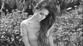 The Ambientalist - The Answer