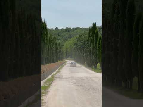 Mini Classic | Tuscany roads