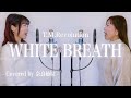 【姉妹でハモる】WHITE BREATH / T.M.Revolution Covered by 奈良姉妹