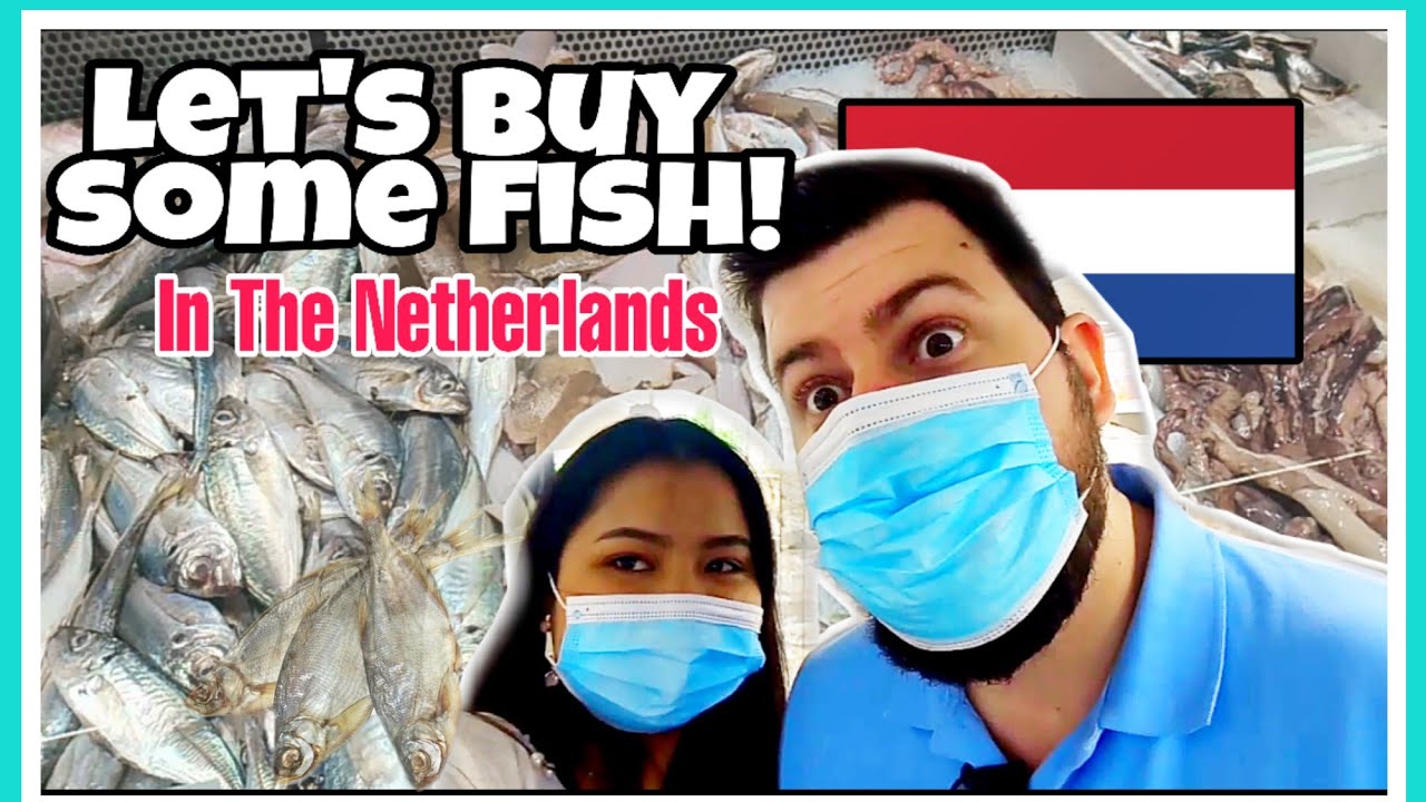 FISH MARKET in THE NETHERLANDS 🇳🇱/ SEAFOOD MARKET/ HAPPY TUMMY #seafoodlover #TheNetherlands