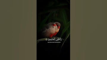 الذي خلقني فهو يهدين 🖤😴 | القارئ اسلام صبحي | تلاوة خاشعة قرآن