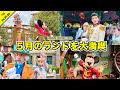 【Vlog】祝日でも関係なく楽しむ!5月のディズニーランドを1人で大満喫!グリーティングやアトラクションなど【混雑状況】