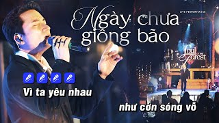 Karaoke Ngày Chưa Giông Bão (Live)  Phan Mạnh Quỳnh (Soul of The Forest)