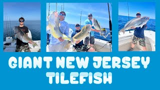 Giant Golden Tilefish NJ