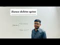 HUMAN SKELETON INTRODUCTION