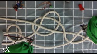 Untangling of Multiple Deformable Linear Objects in Unknown Quantity with Complex Backgrounds