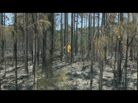 Second day of Highway 79 fire; what we know