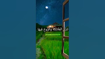 {إنا أنزلناه في ليلة القدر} - القارئ أبو بكر الشاطري