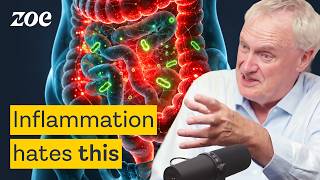 Information The truth about chronic inflammation, fatigue, pain - and 7 ways to fix it Guide