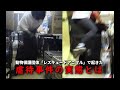 【動物虐待】動物保護団体「レスキュードアニマル」で起きた元職員による虐待事件〈初公判速報〉